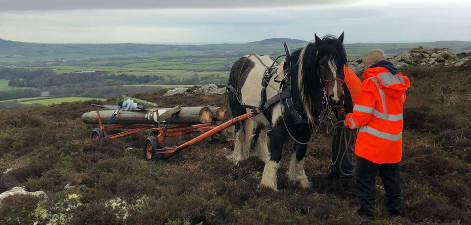 Undergrounding Electricity Cables