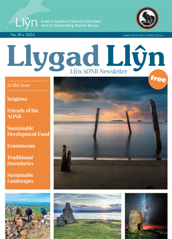 Llygad Llŷn 18