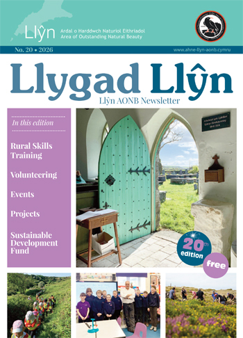 Llygad Llyn