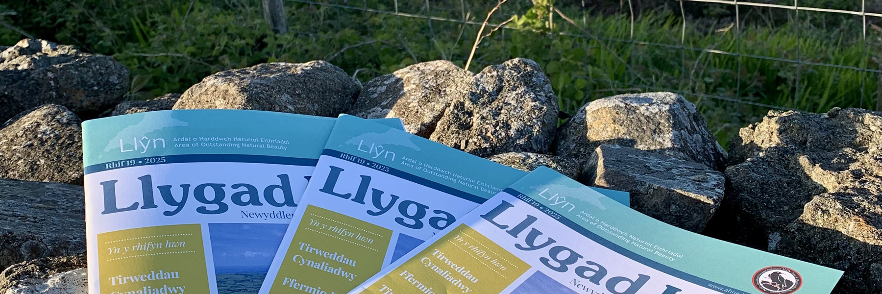 Llygad Llŷn