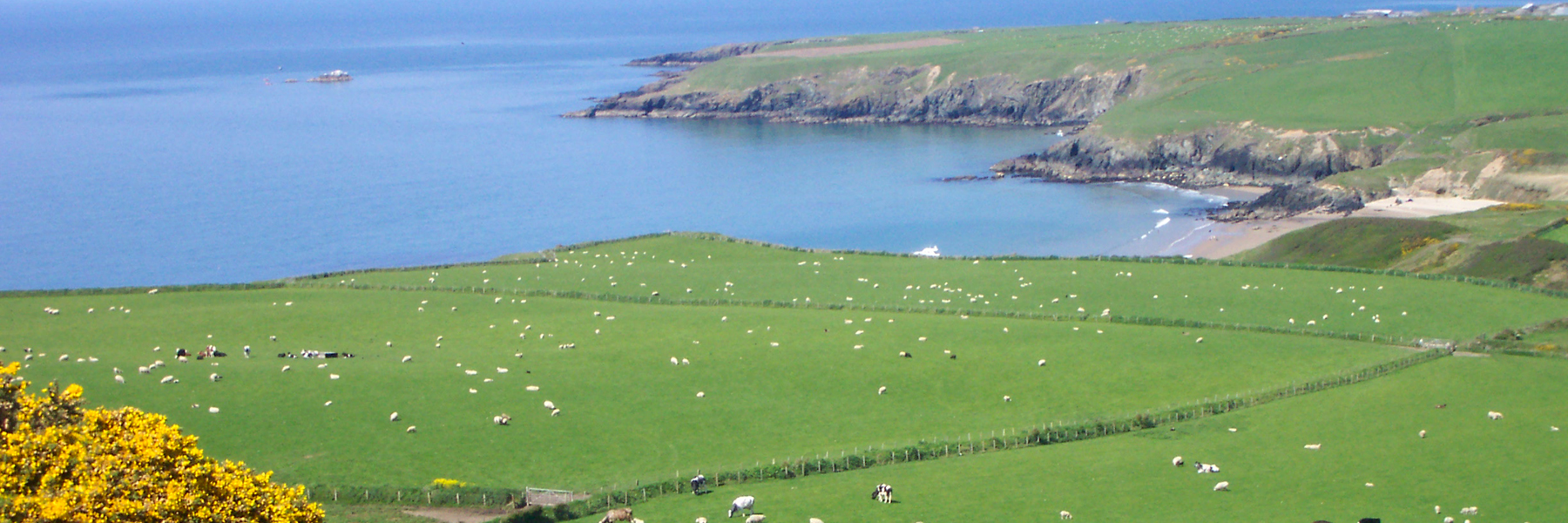 Tir a Môr Llŷn Project