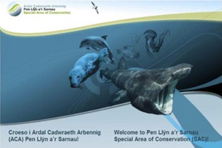Ardal Cadwraeth Arbennig